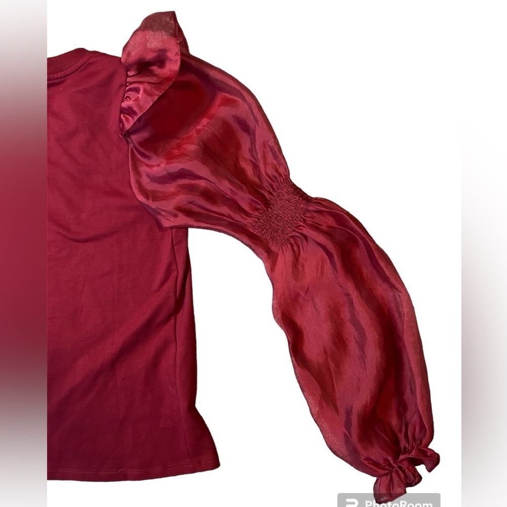 Anthropologie NWOT top with dramatic sheer sleeves size small - Picture 2 of 10